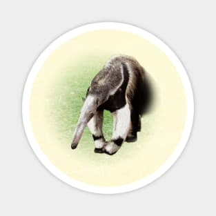 Giant anteater Magnet